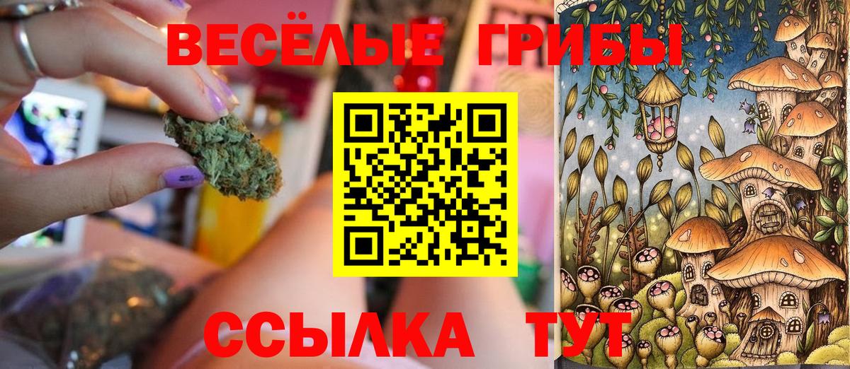 Галлюциногенные грибы Cubensis  Псилоцибиновые грибы Cubensis  Норильск  Вход с VPN 